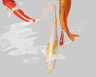 《最终幻想16》确定推出PC版以及DLC 免费更新上线