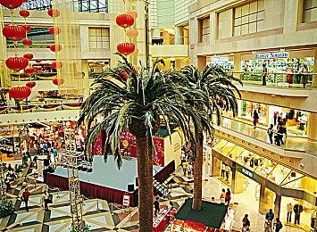 《数码宝贝：绝境求生》新预告发布并更换开发团队